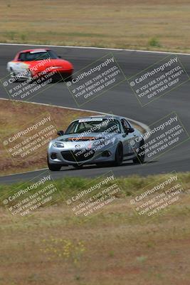 media/May-04-2024-Lucky Dog Racing (Sat) [[d39539b3f3]]/Race Pics/1015am (Turn 2)/